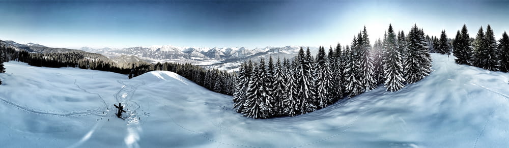 Ein Gemälde eines schneebedeckten Berges mit Bäumen