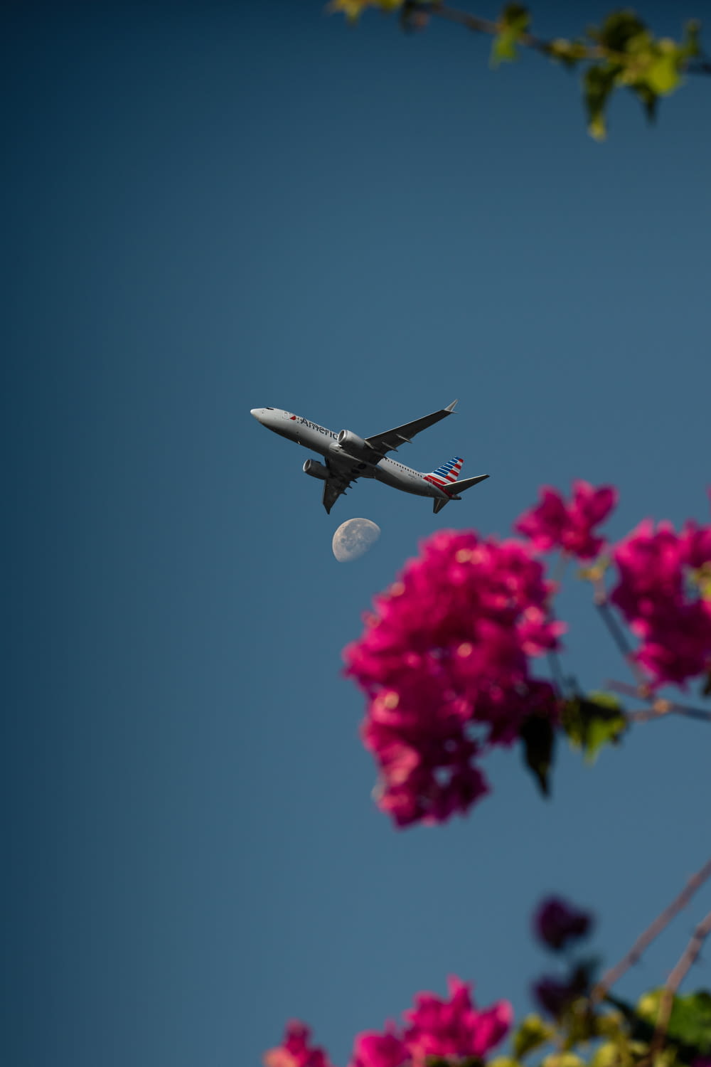 an airplane flying in the sky with pink flowers in the foreground