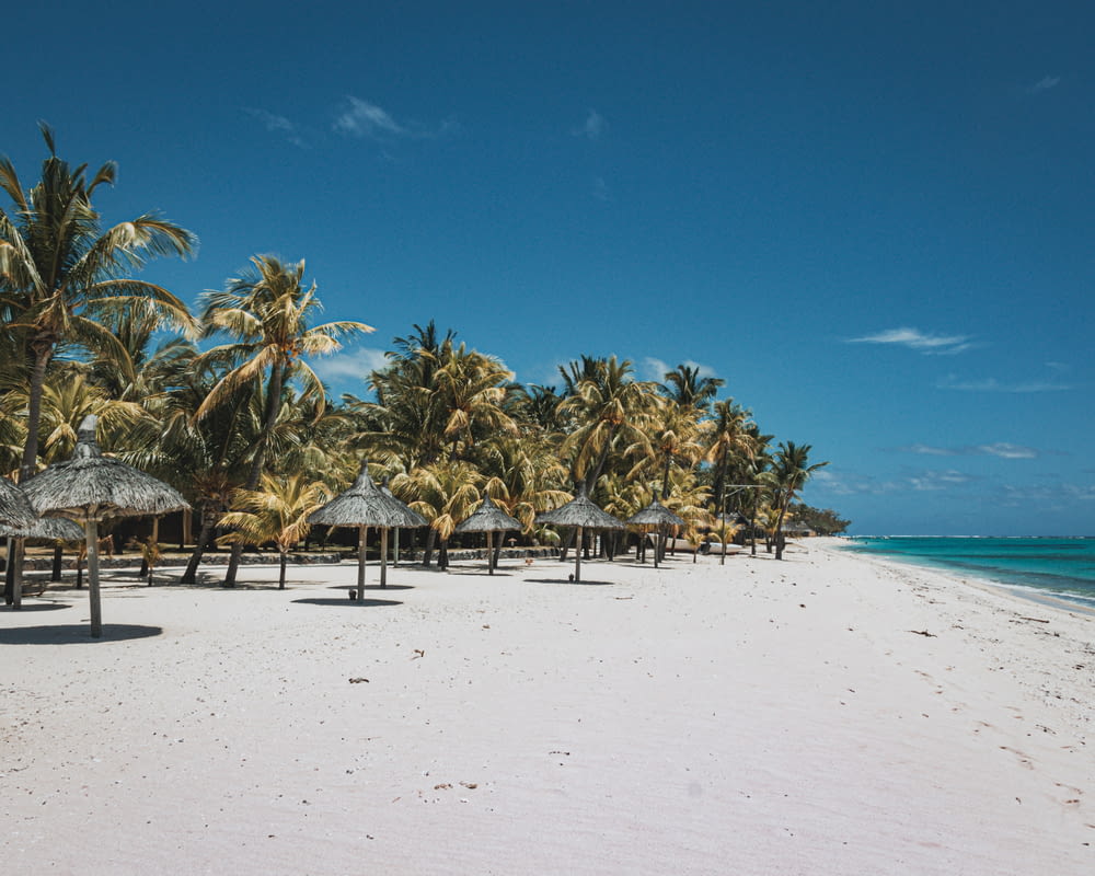 a sandy beach with palm trees and umbrellas