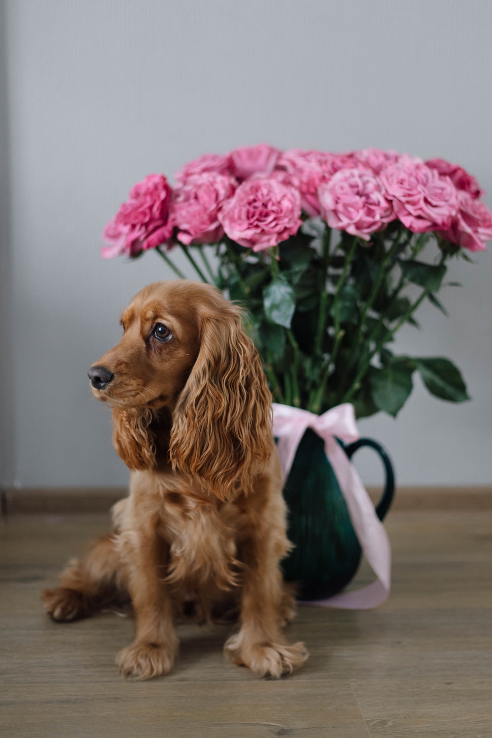 a dog sitting in front of a vase of flowers