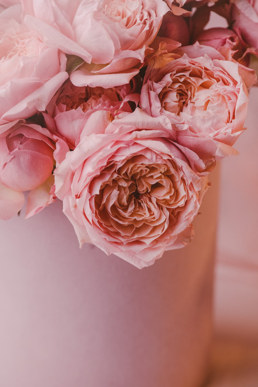 a close up of pink flowers in a vase