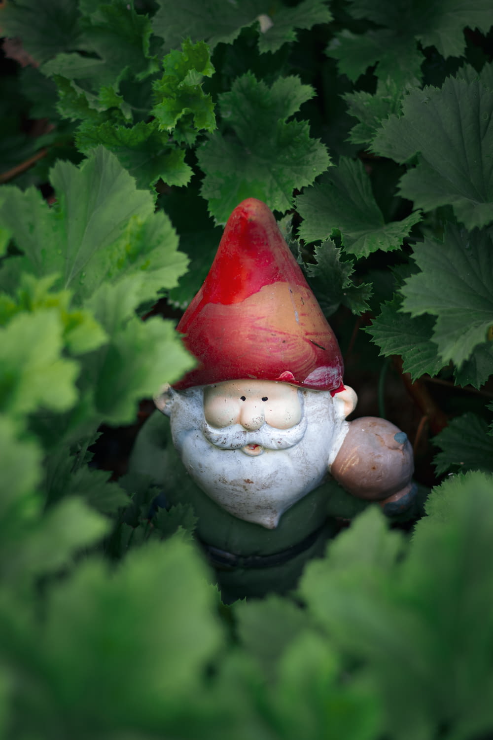 a garden gnome sitting in the middle of a garden