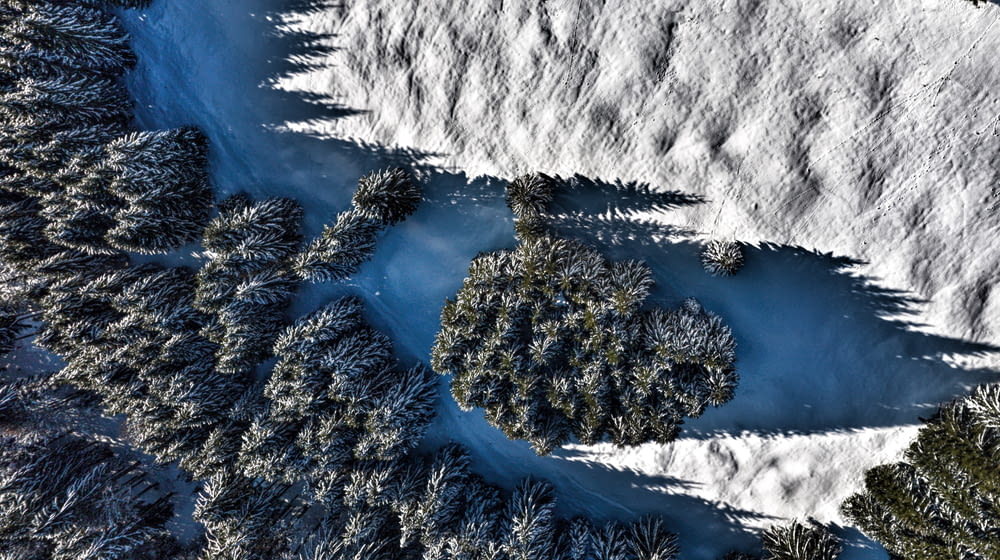Luftaufnahme eines verschneiten Waldes