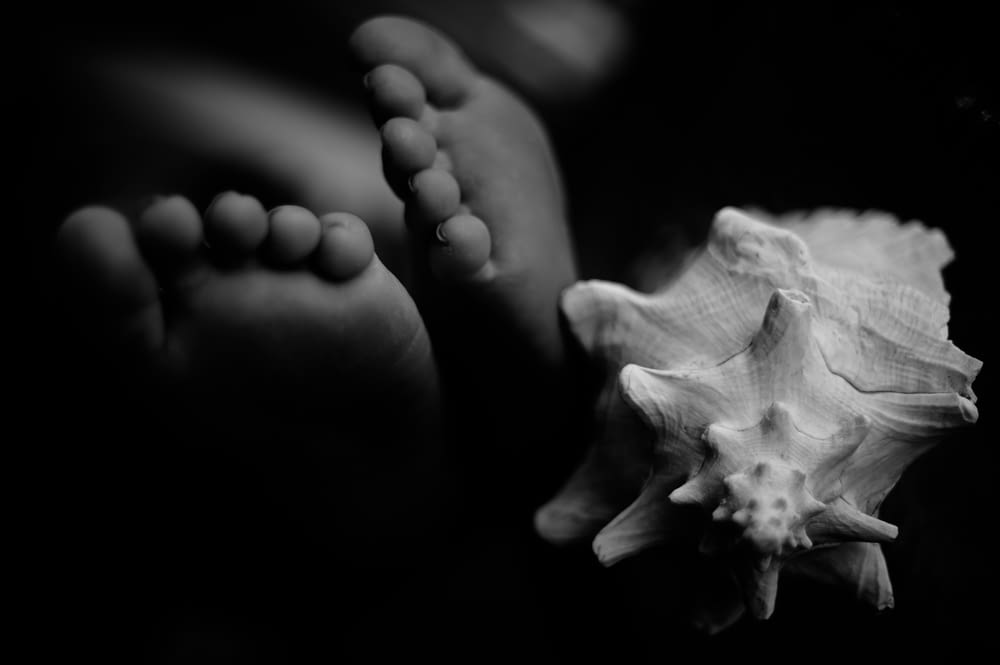 a black and white photo of a person's feet and a flower