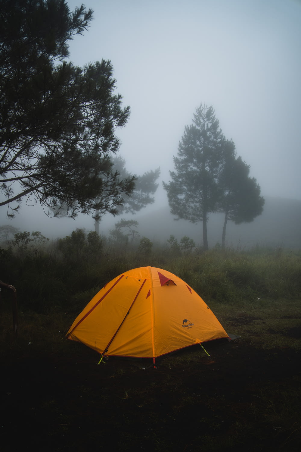 a tent pitched up in the woods on a foggy day