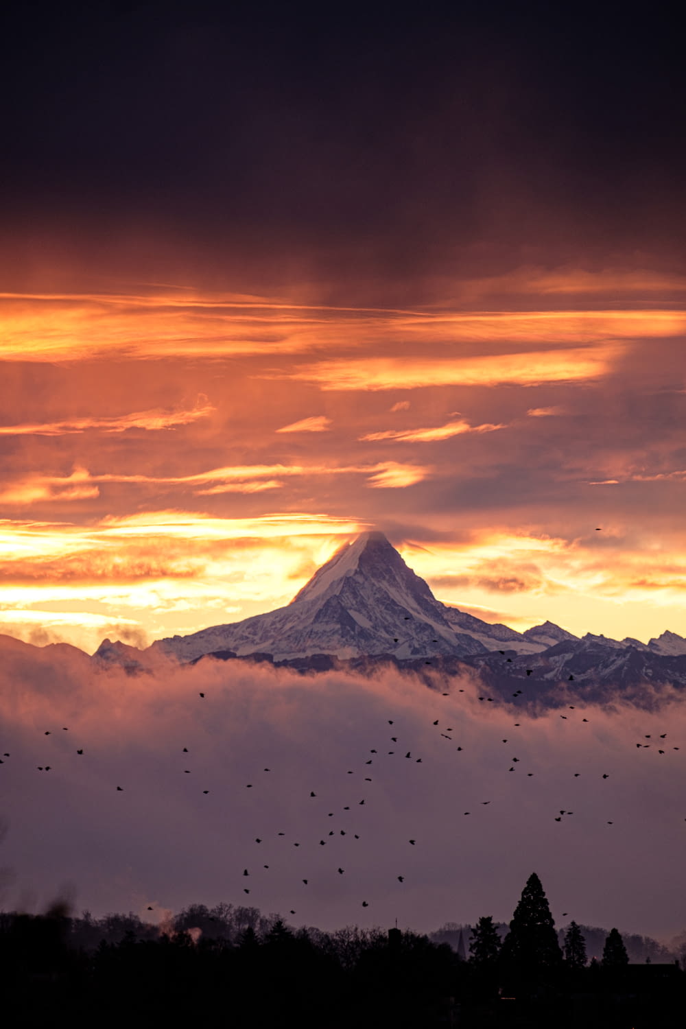 a mountain covered in clouds and birds flying in the sky