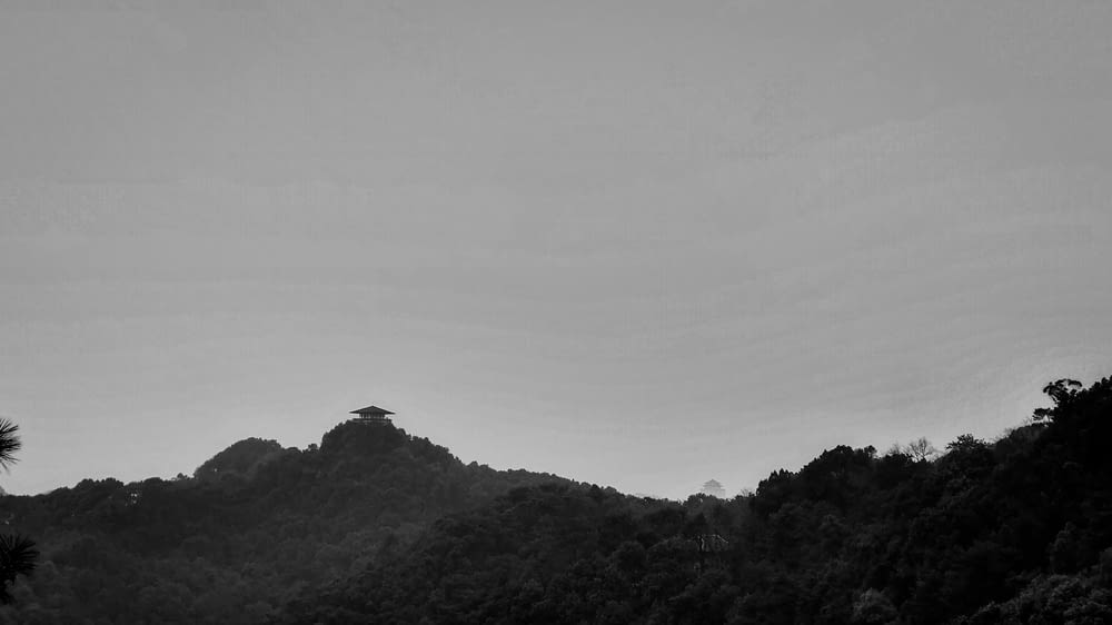 a black and white photo of trees and hills