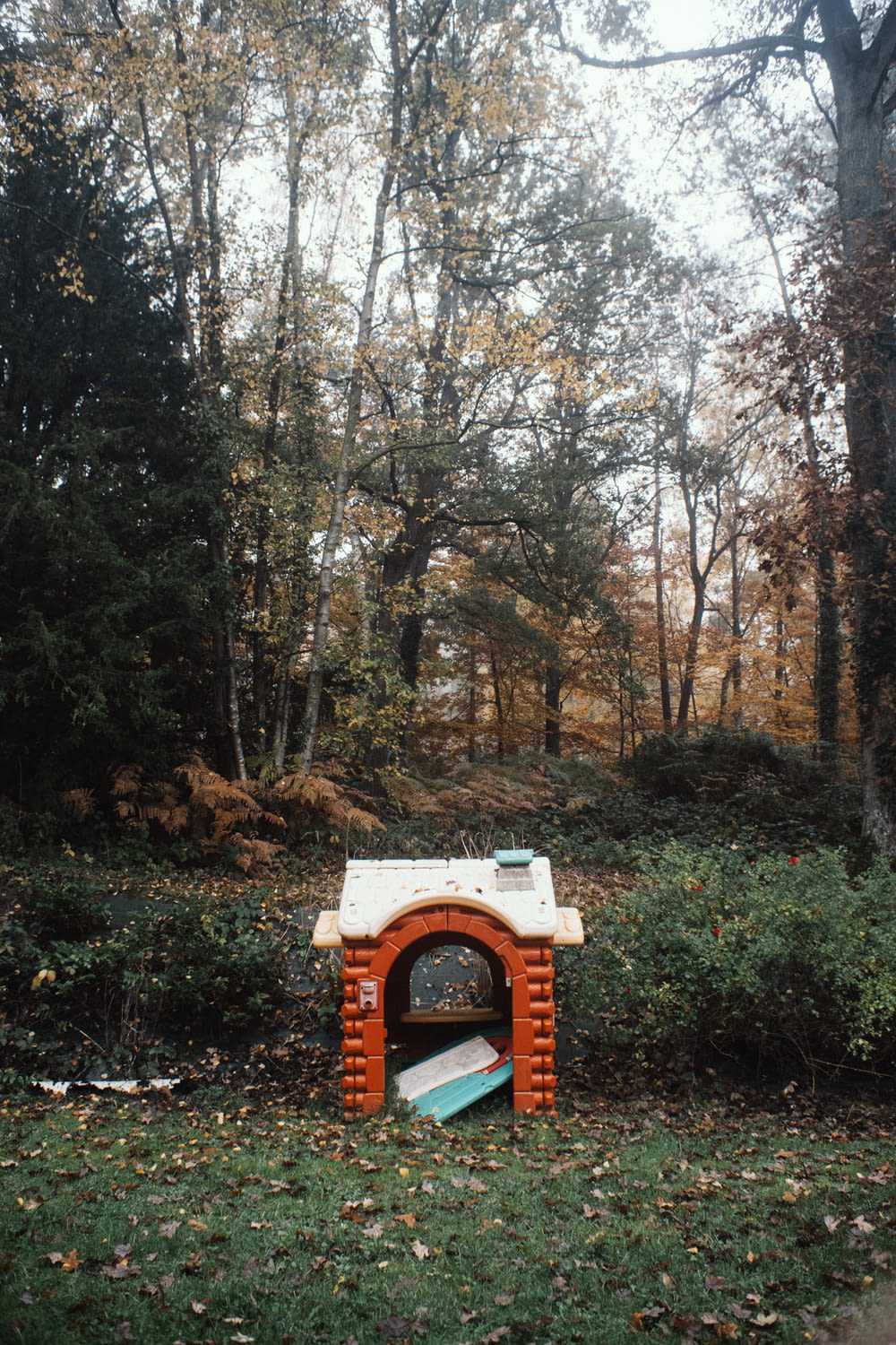 a small brick oven in the middle of a forest