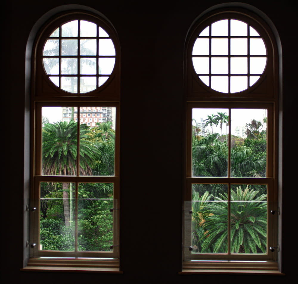 a couple of windows that have some plants in them