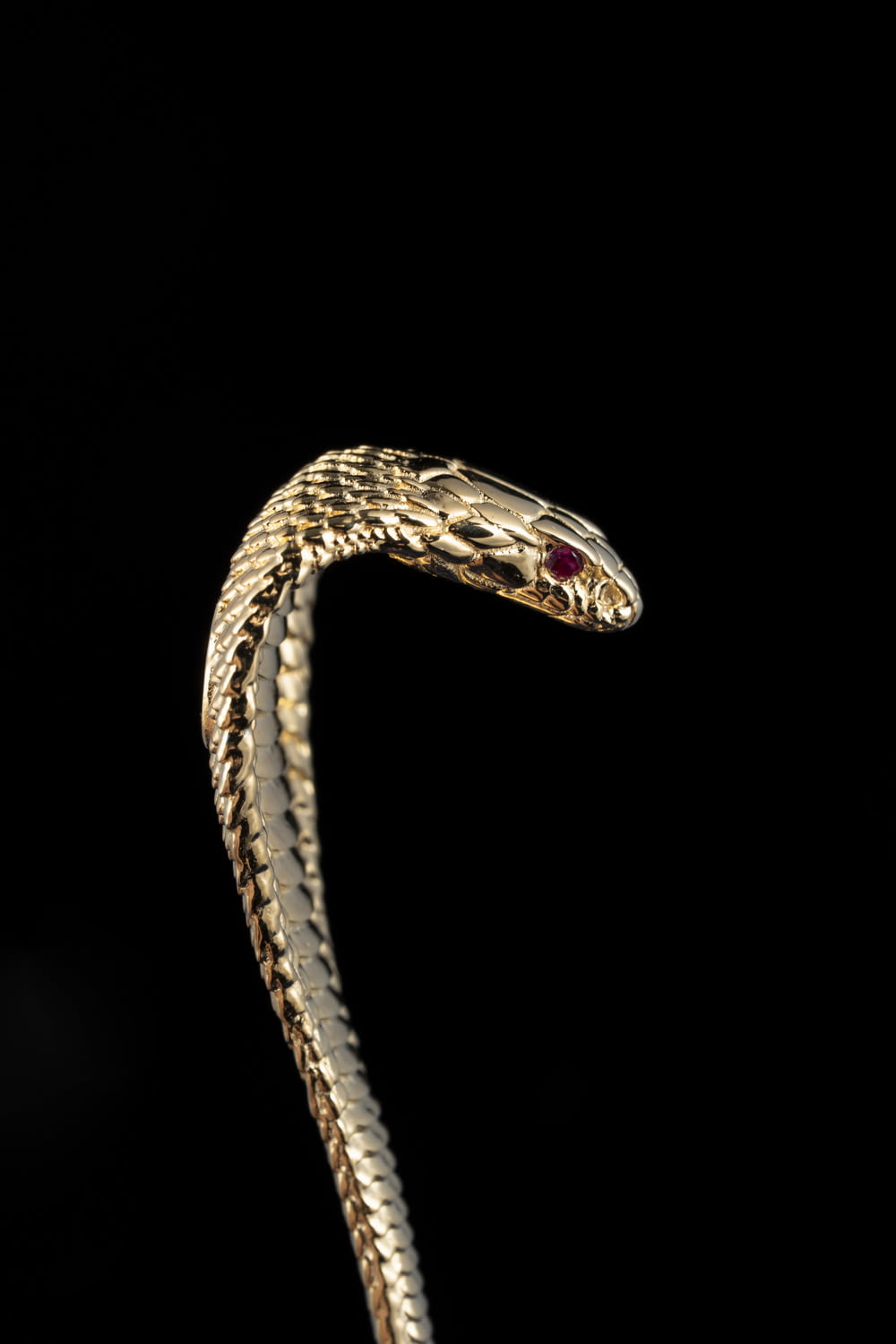 a close up of a snake on a black background