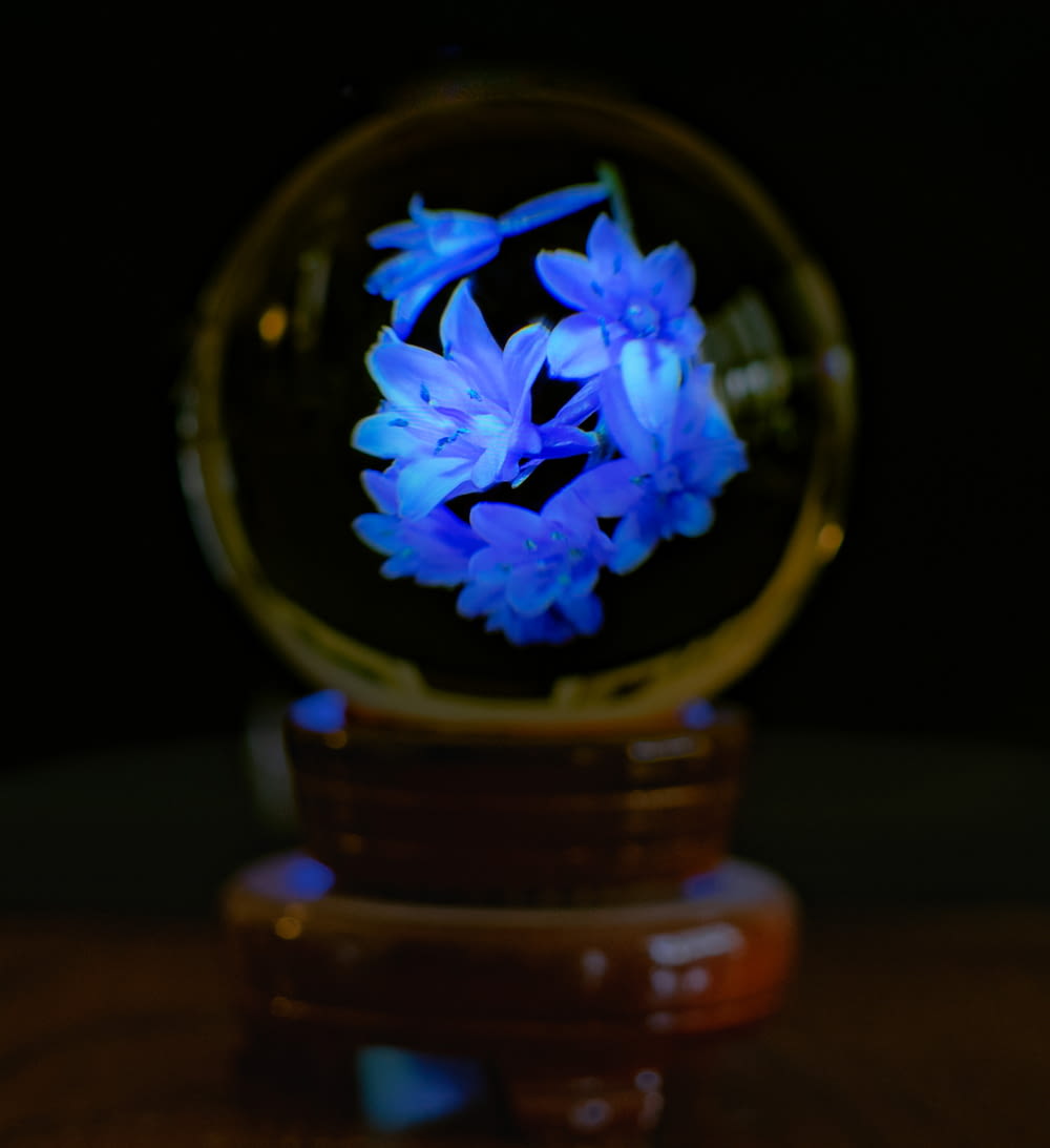 a blue flower in a glass ball on a table