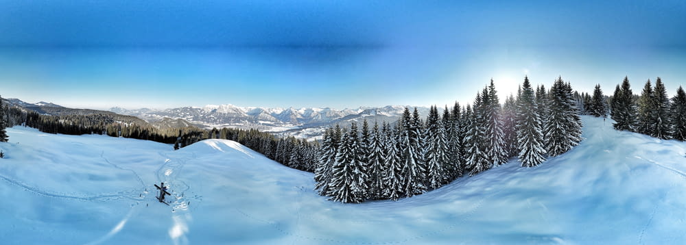 Ein Bild von einem schneebedeckten Berg mit Bäumen