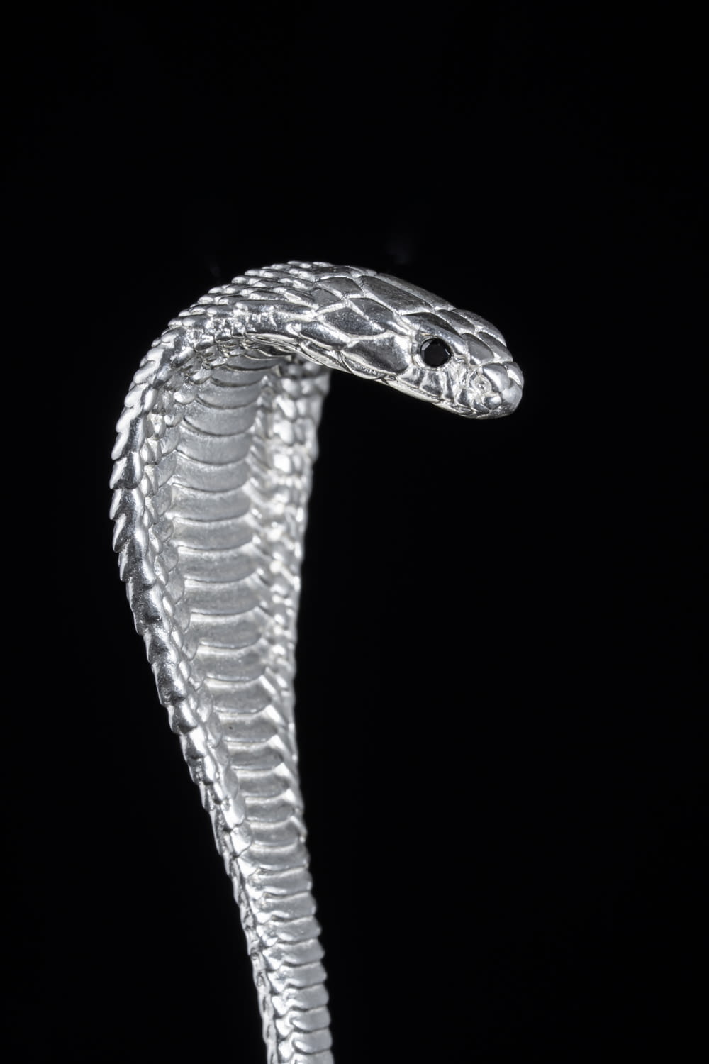 a white snake on a black background