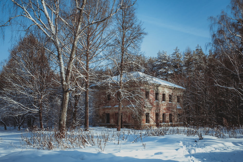 Una casa nella neve circondata da alberi