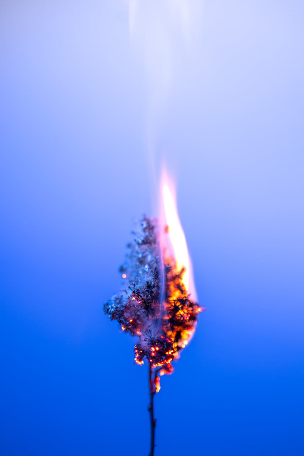a close up of a fire with a blue sky in the background