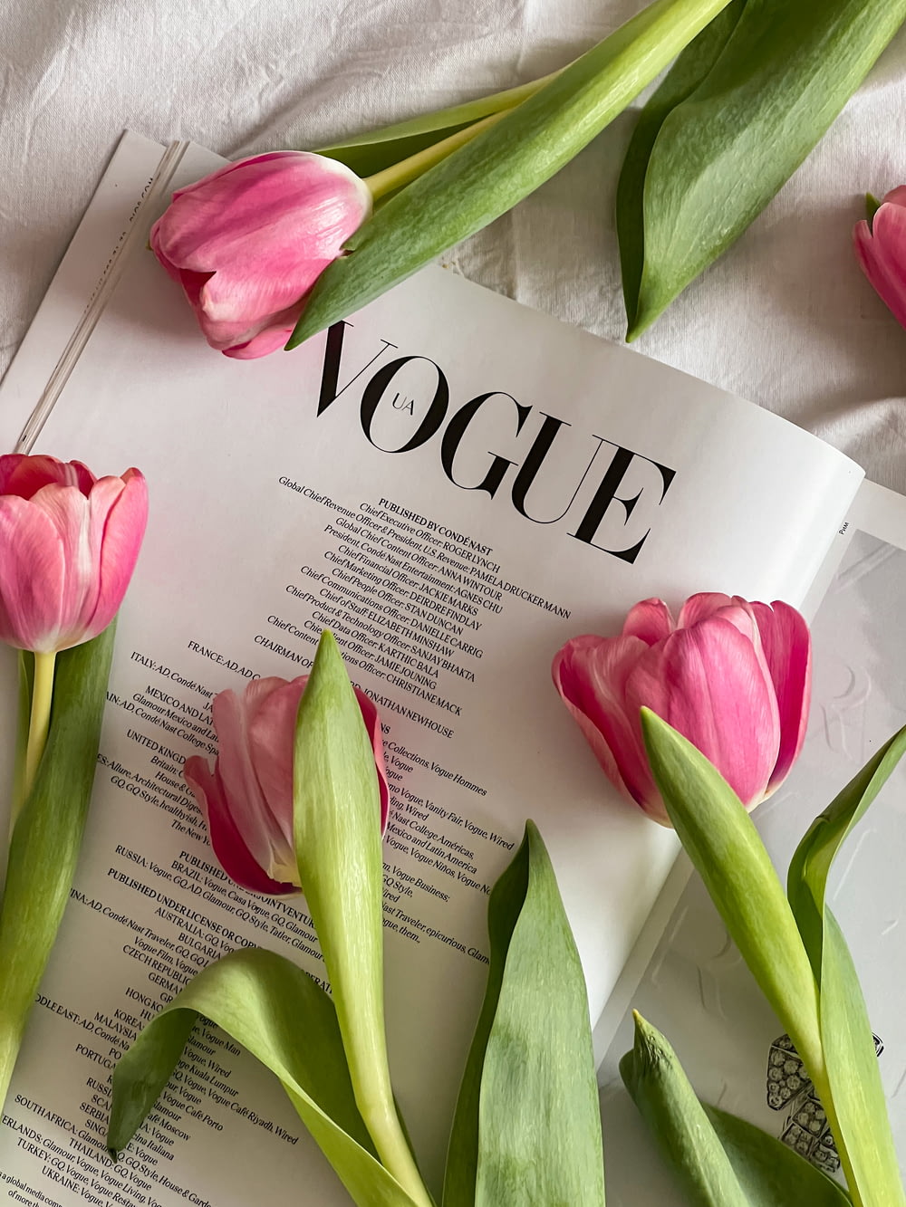 tulipani rosa su una pagina di una rivista