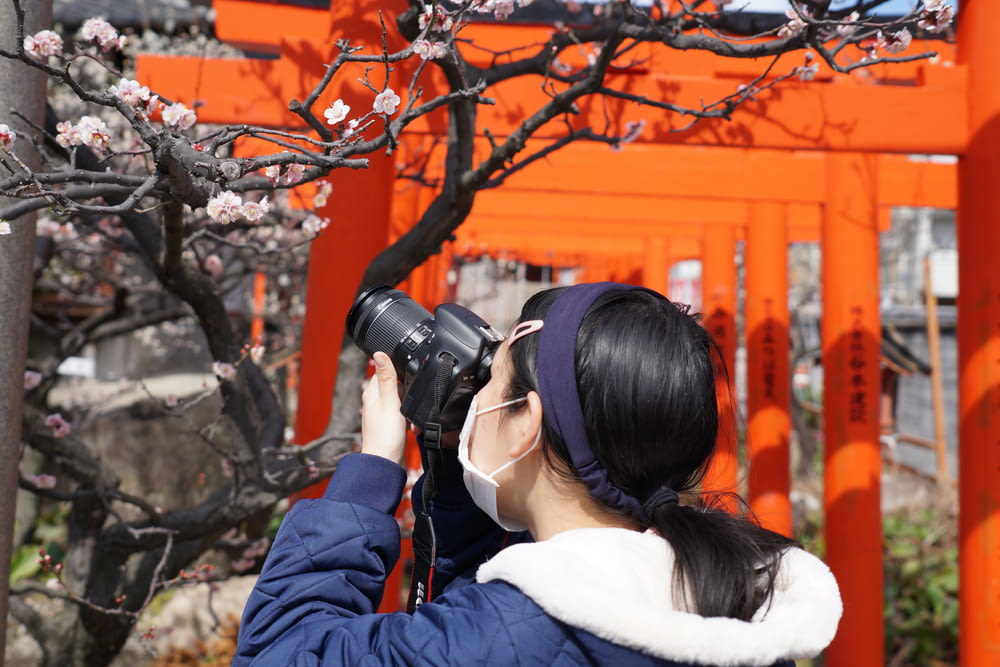 a woman taking a picture of a cherry blossom tree