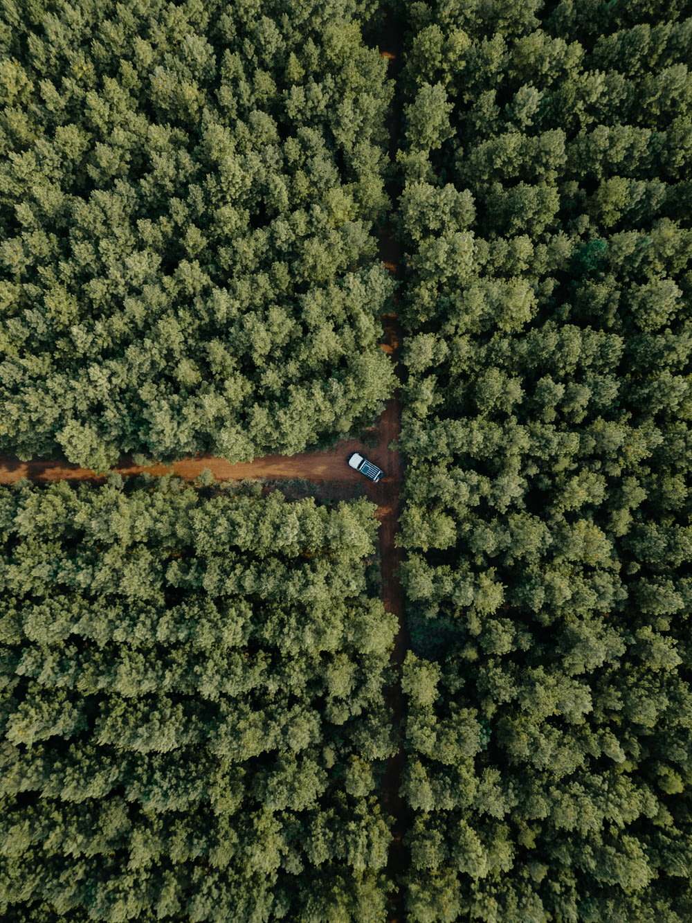 an aerial view of a car driving through a forest
