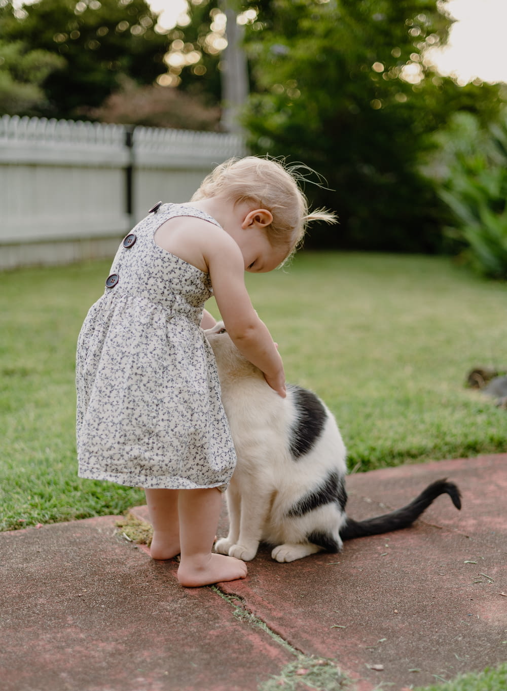 a little girl playing with a cat outside