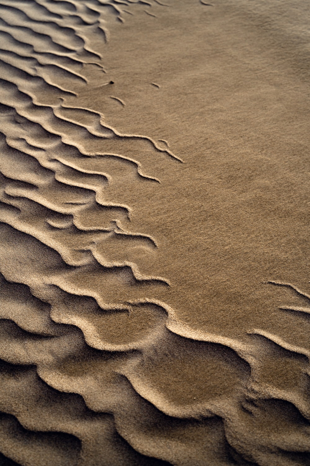 a sandy area with wavy lines in the sand