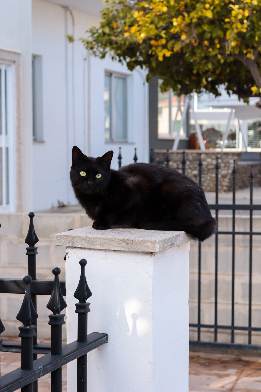 a black cat sitting on top of a white pillar