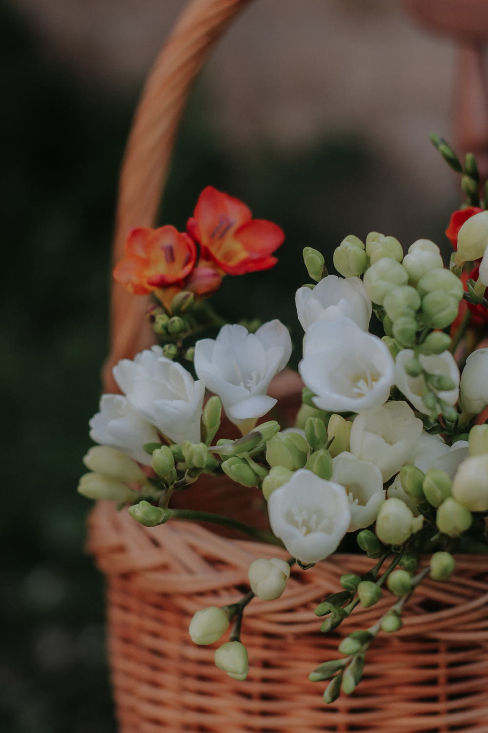 a basket filled with white and red flowers