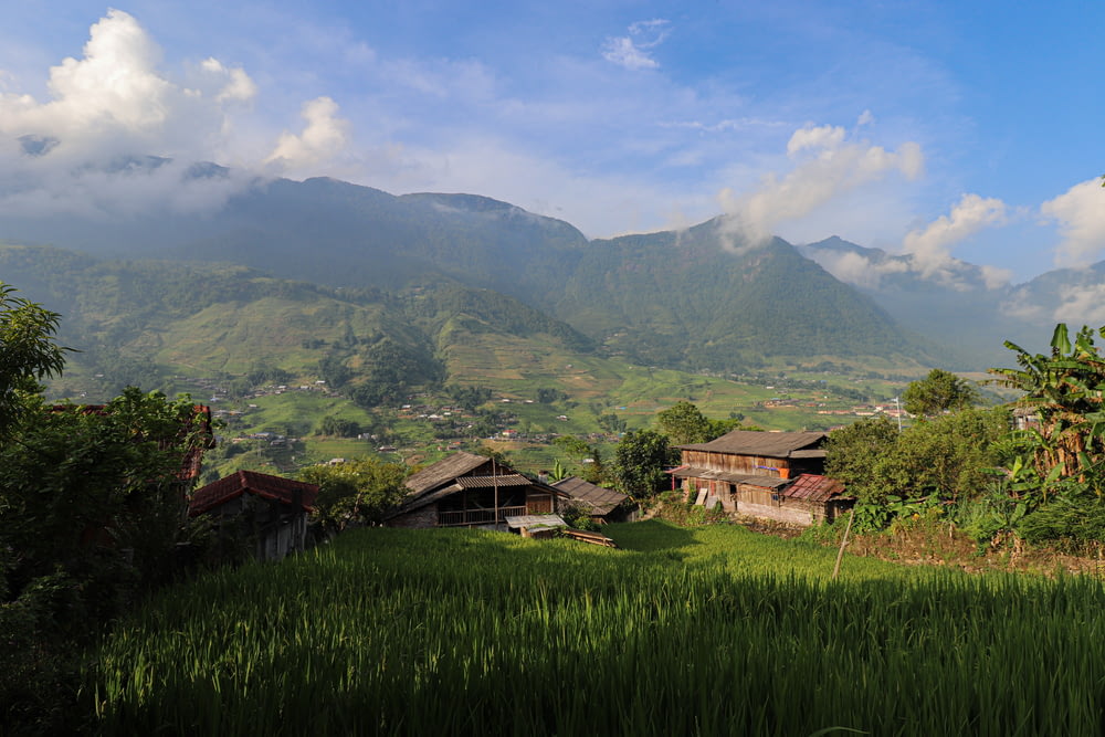a lush green field with houses and mountains in the background