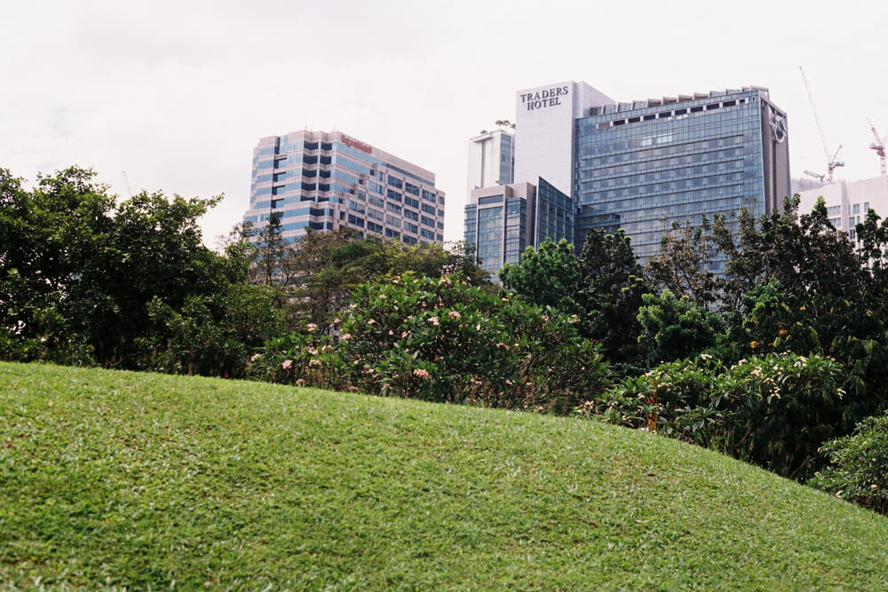 a grassy hill in front of a city skyline