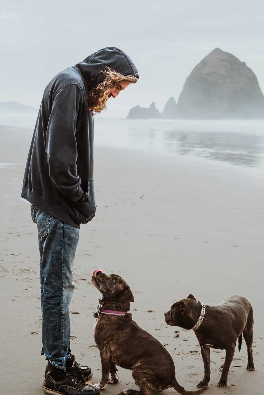 a man standing next to two dogs on a beach