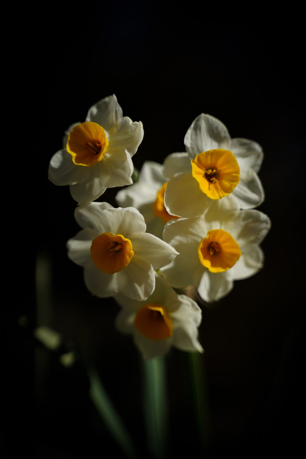 a bunch of white and yellow flowers in a vase