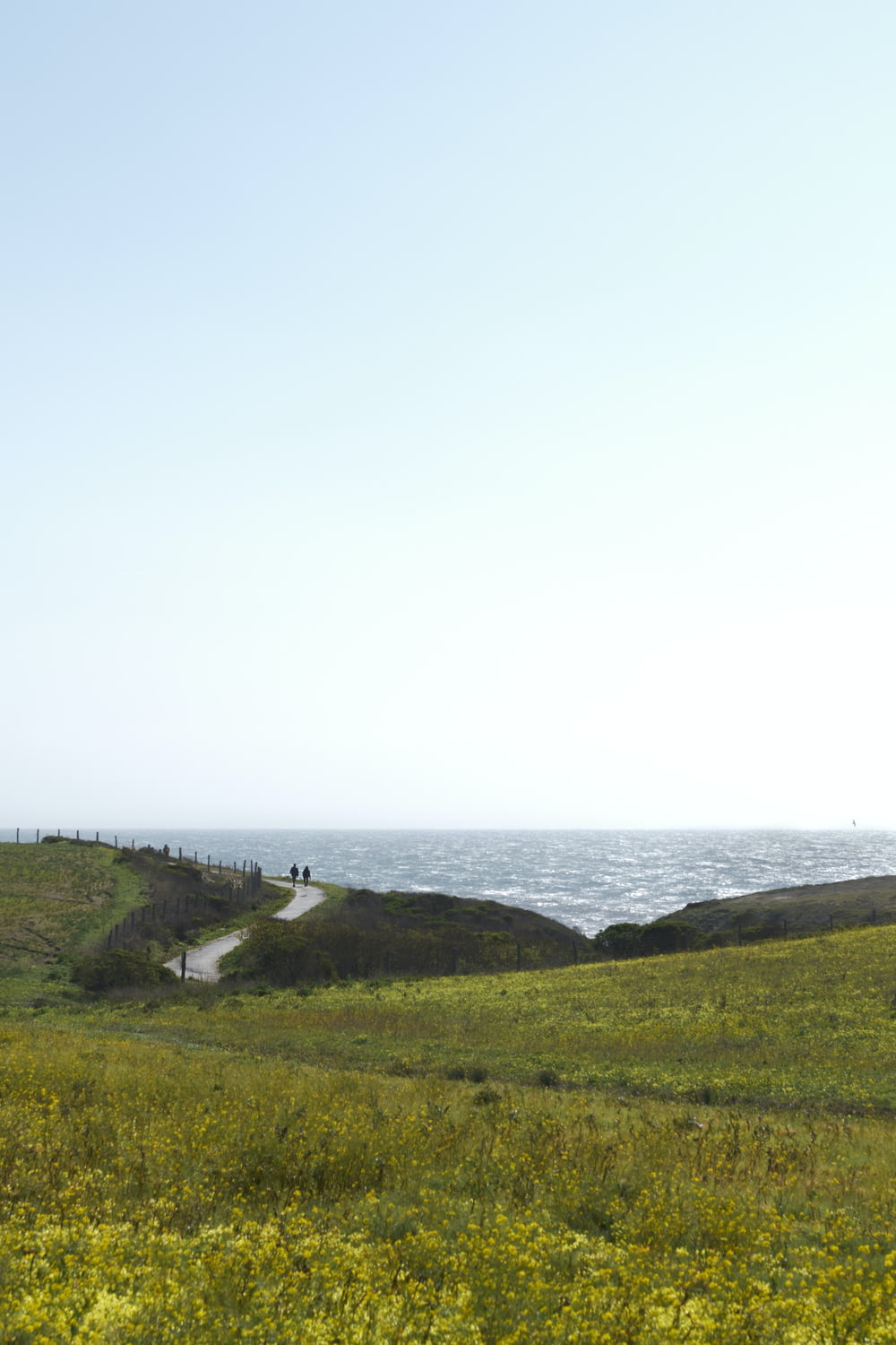 Un campo cubierto de hierba con un camino que conduce al océano