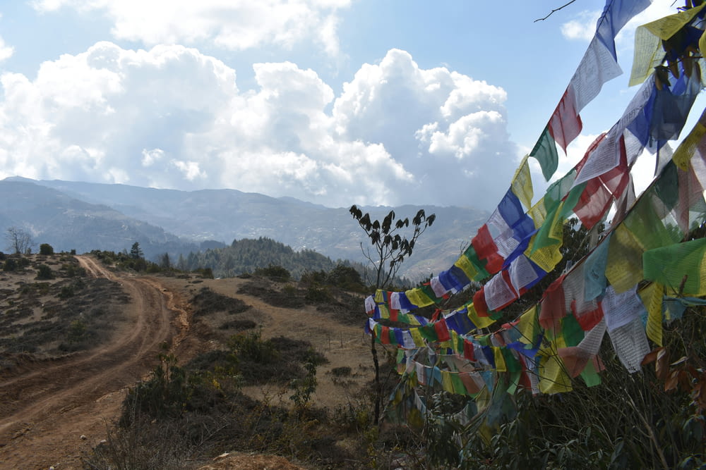 a dirt road with colorful flags hanging from it