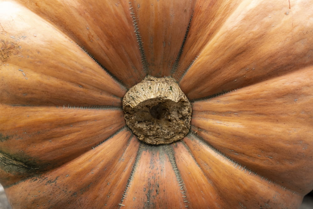 a large pumpkin with a hole in the middle of it
