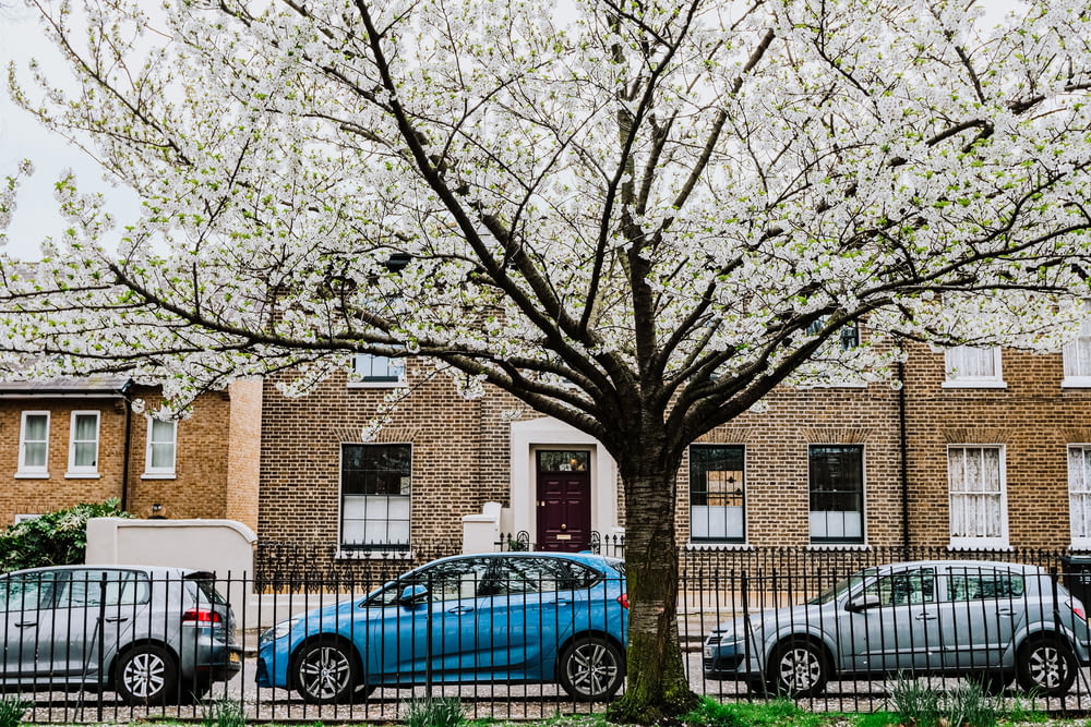 a blue car parked next to a tree in front of a brick building