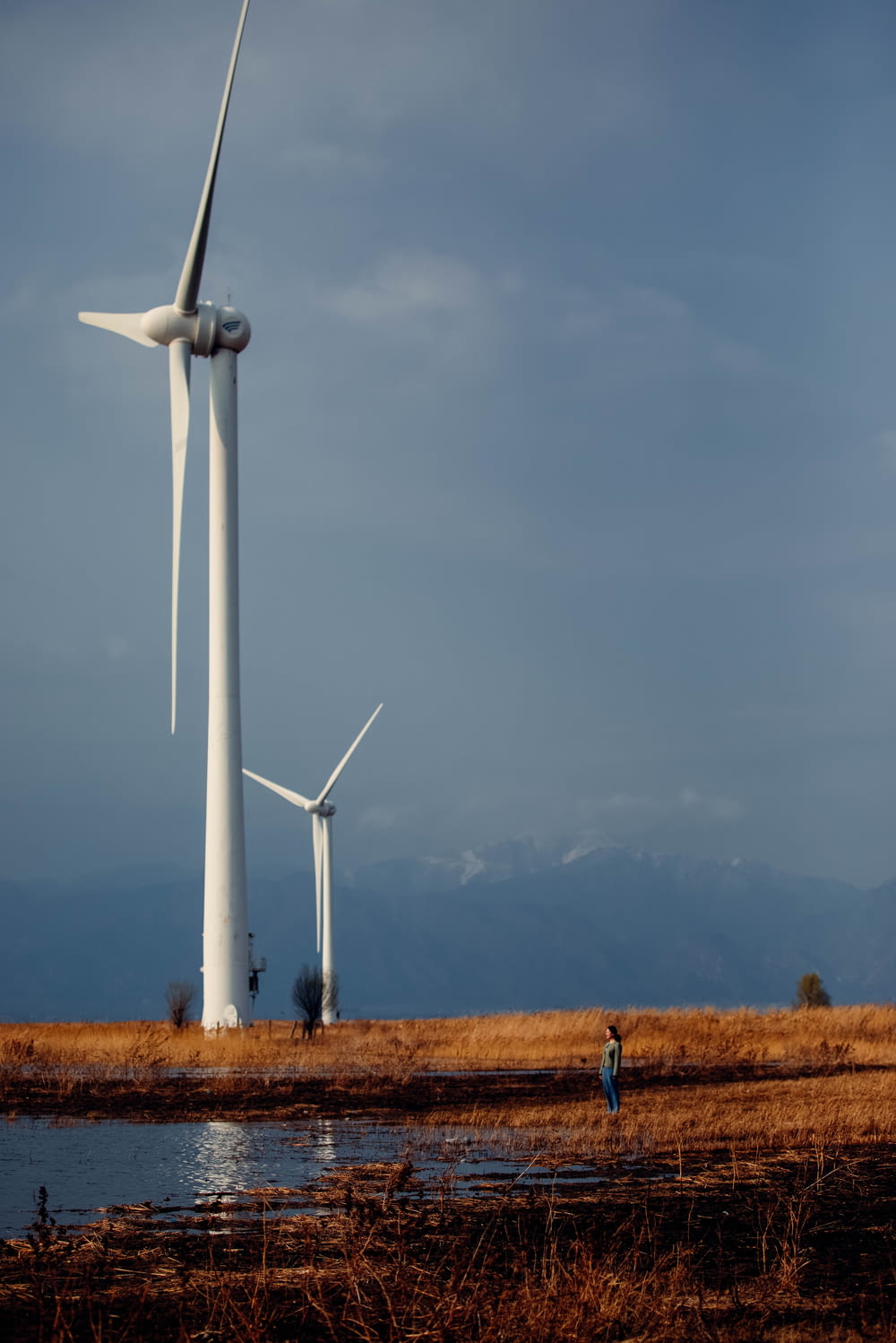 a person standing in a field next to a wind turbine