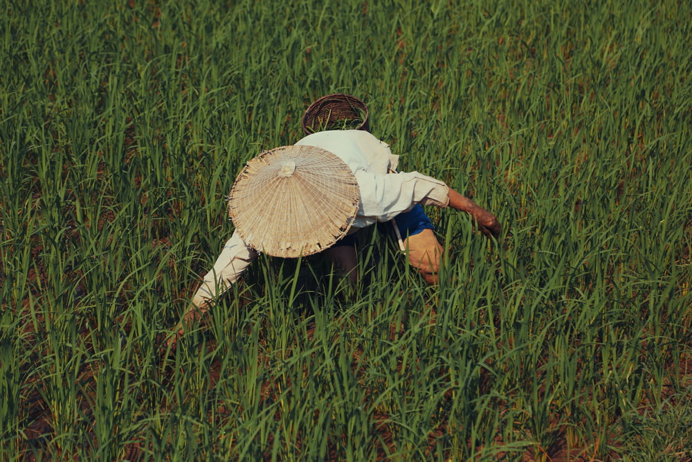 a person kneeling in a field of tall grass