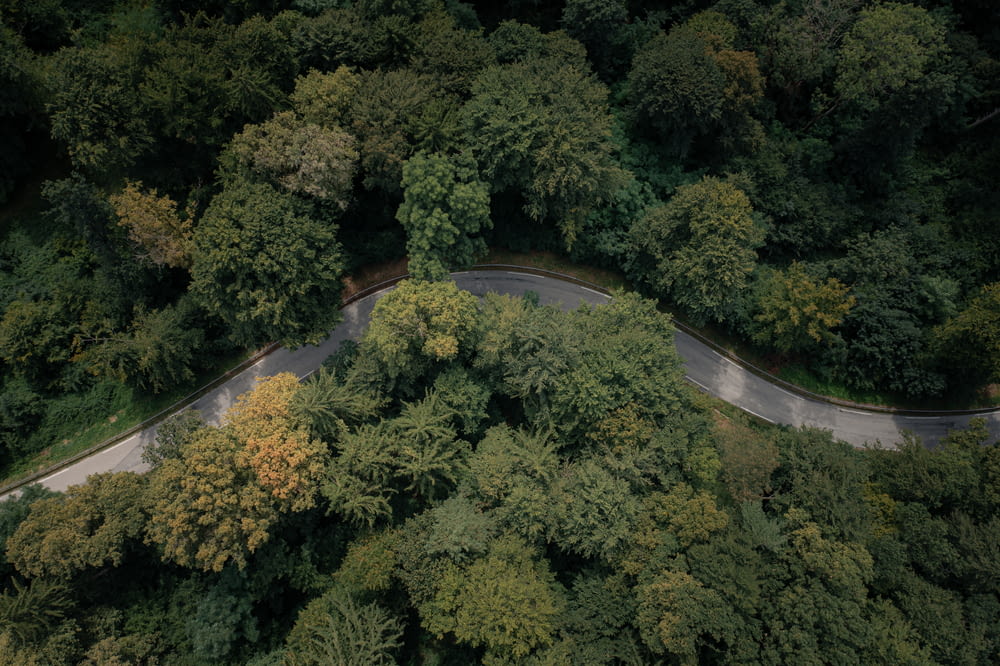 an aerial view of a winding road surrounded by trees