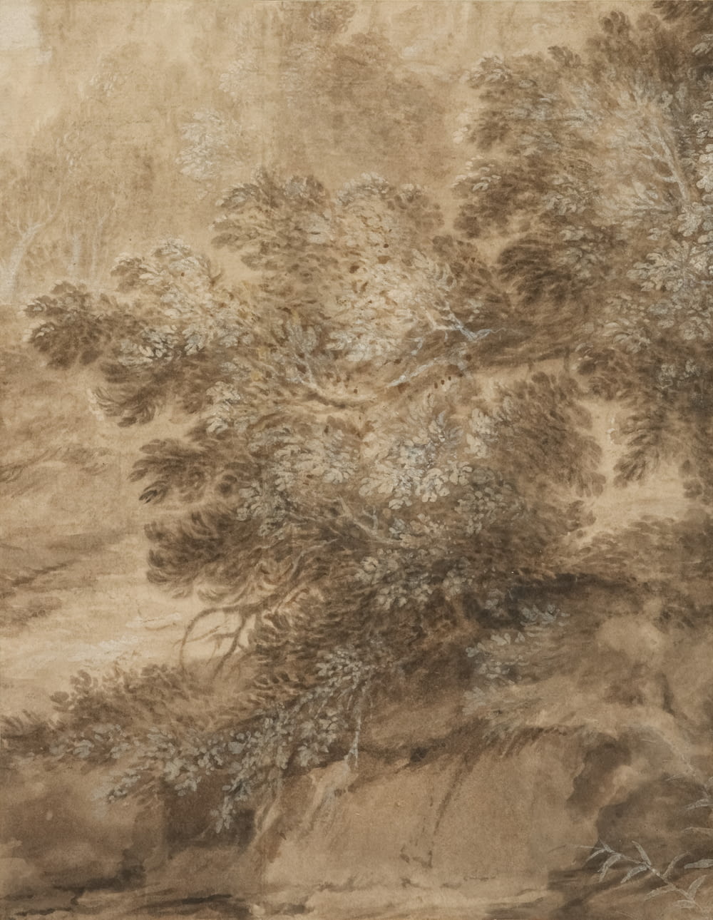 a painting of trees in a wooded area