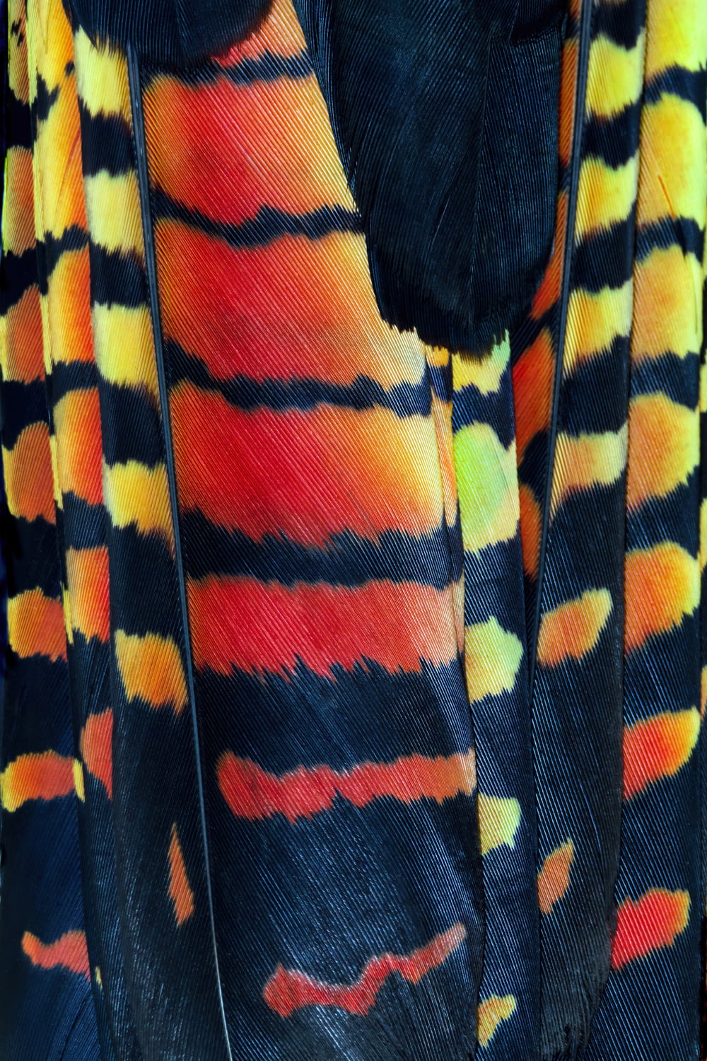 a close up of an elephant's colorful coat