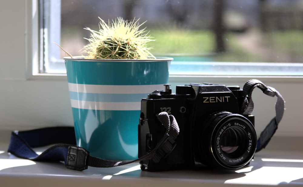 a camera sitting on a window sill next to a cactus