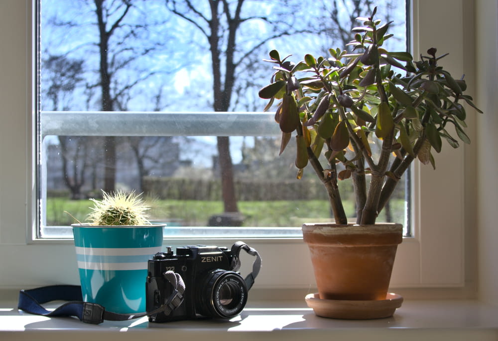 a camera and a potted plant on a window sill