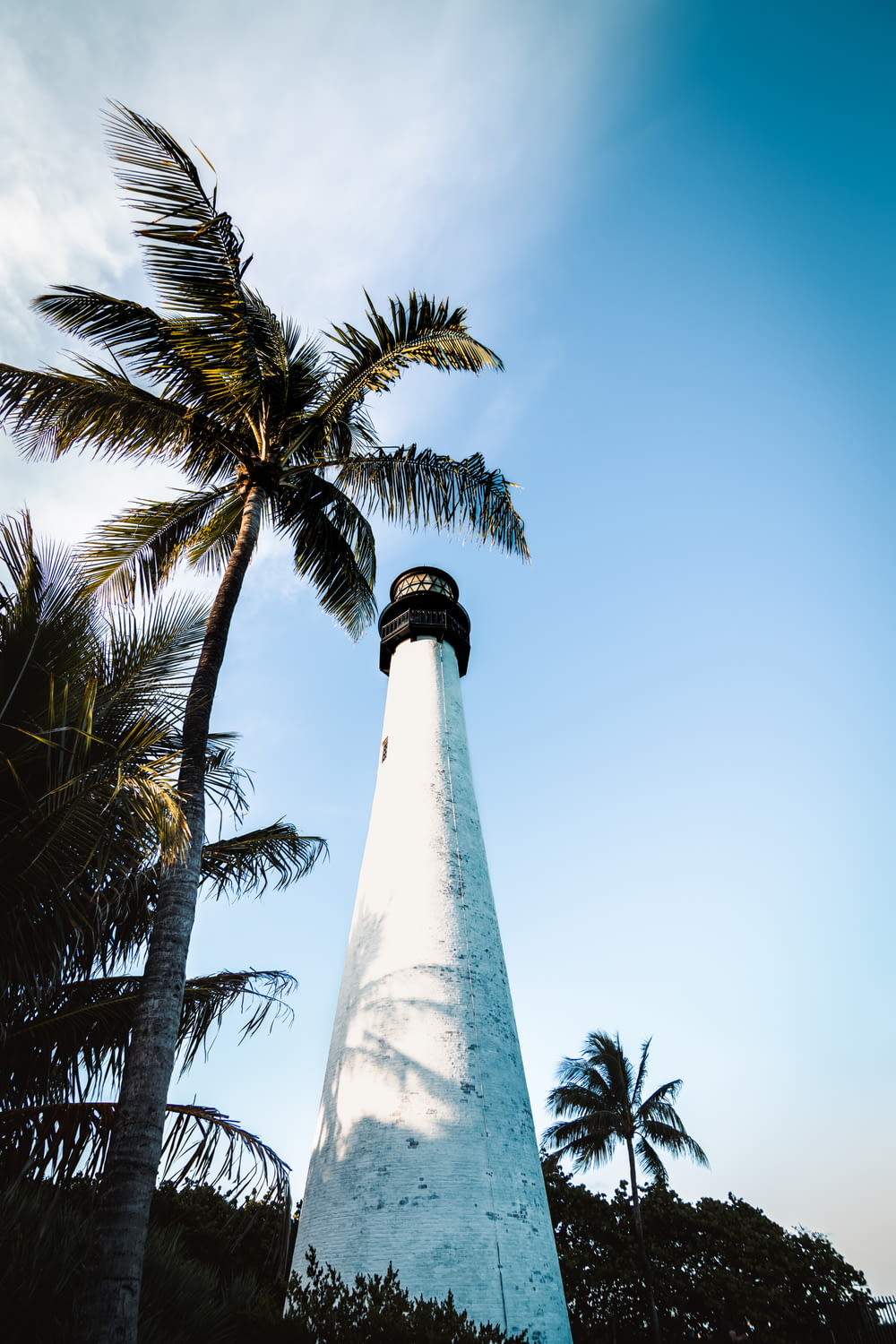 a tall white light house sitting next to a palm tree