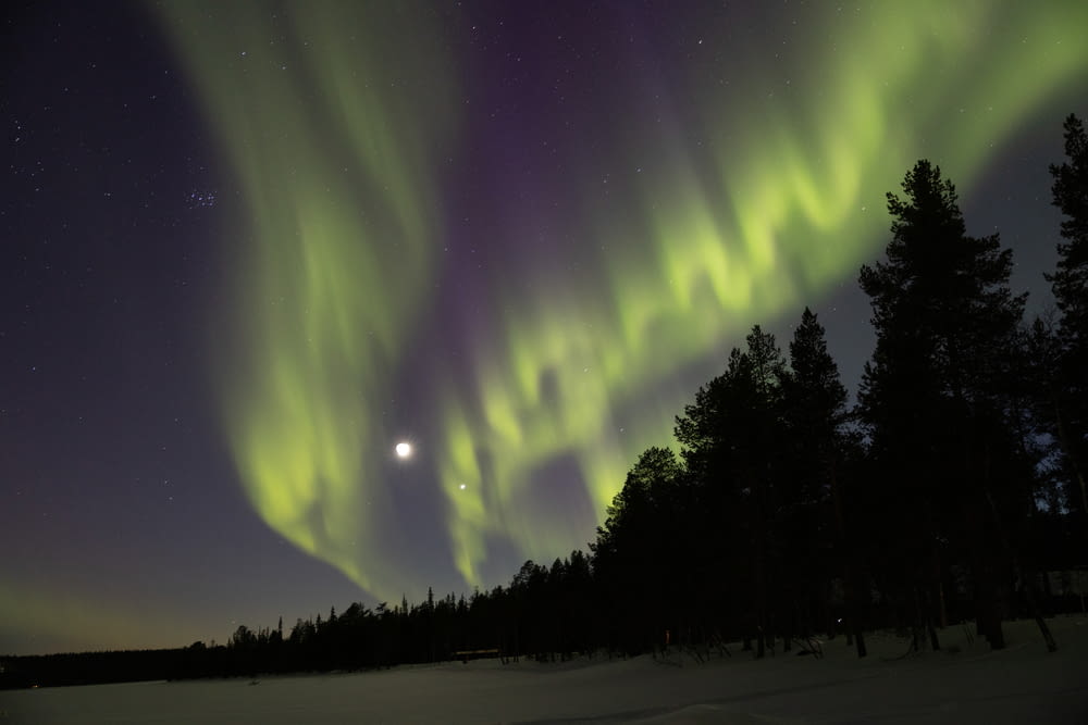 a bright green and purple aurora bore is in the sky
