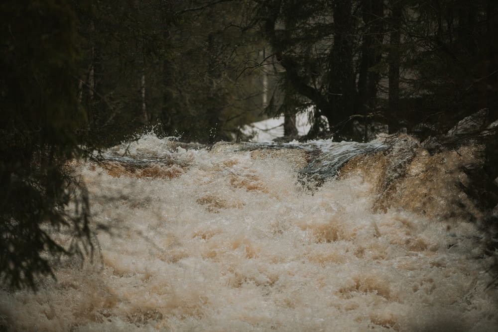 ein Fluss, der durch einen mit Schnee gefüllten Wald fließt