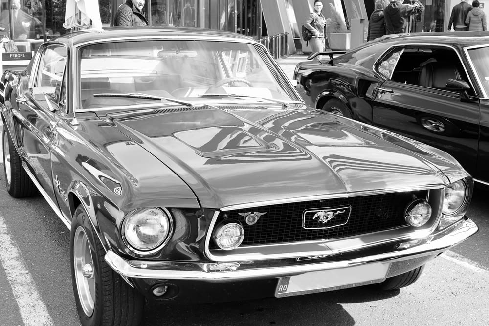 a black and white photo of a mustang