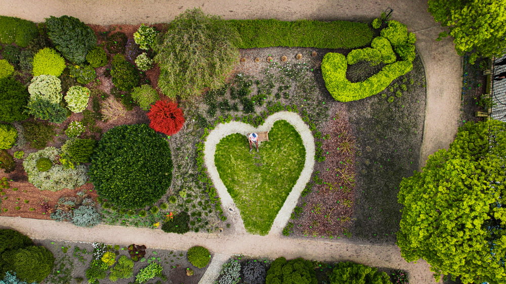 an aerial view of a heart shaped garden