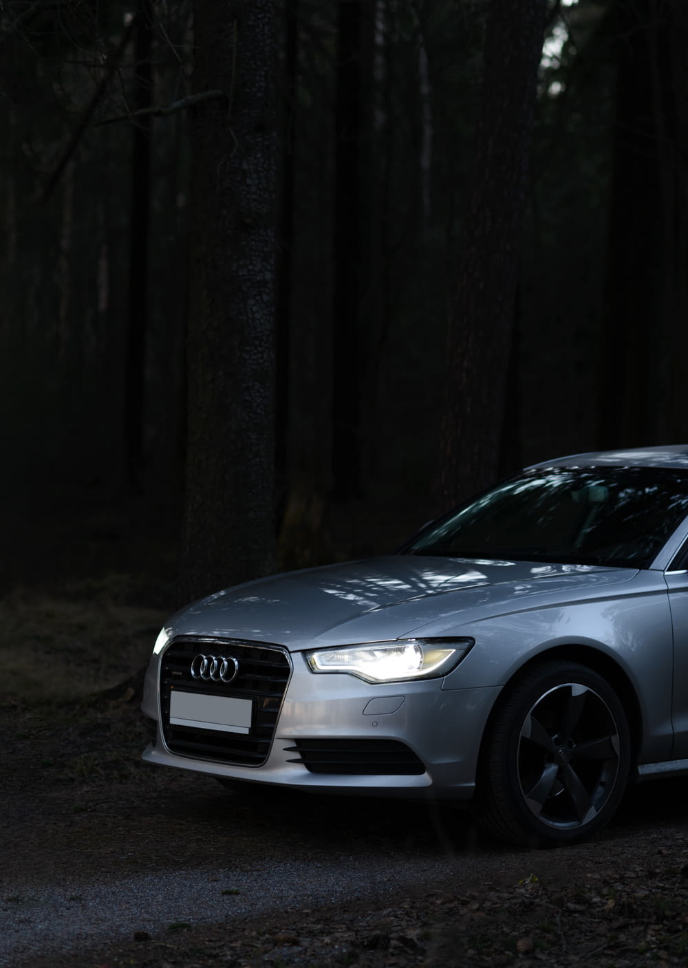a silver car parked in a dark forest