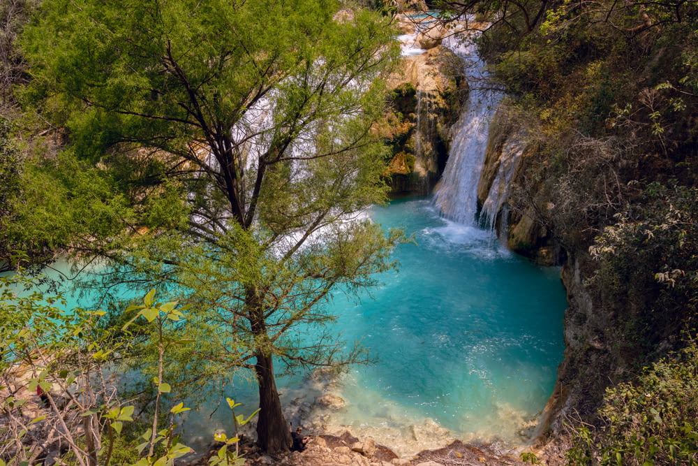 uma cachoeira no meio de um rio cercado por árvores