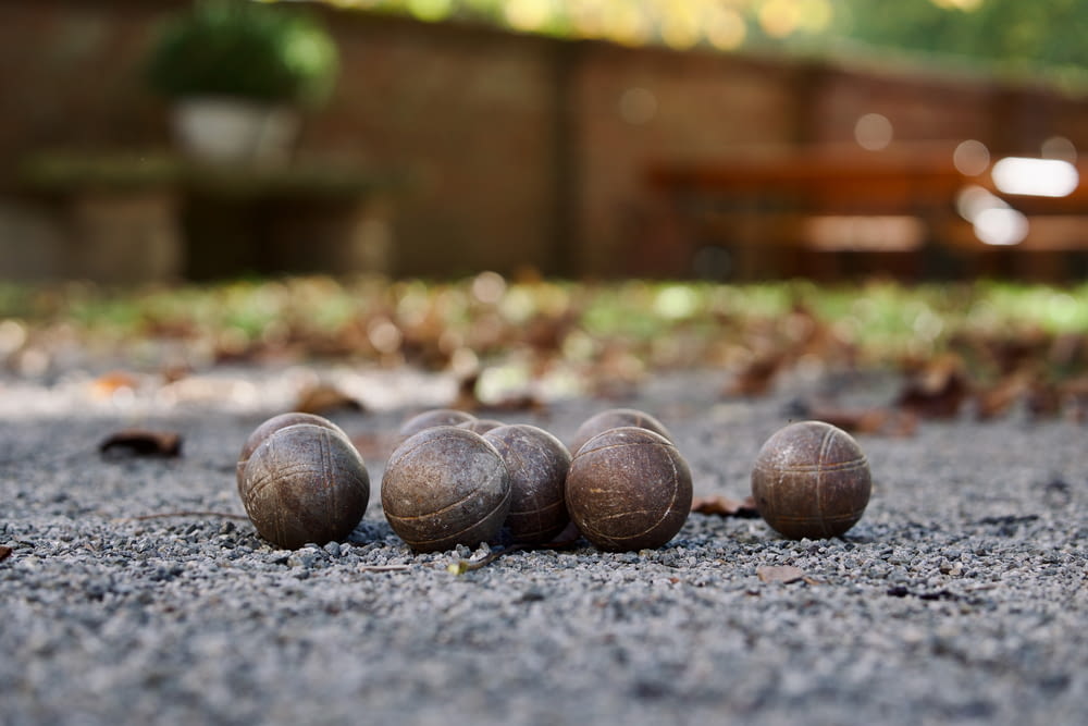 a group of nuts sitting on top of a gravel road