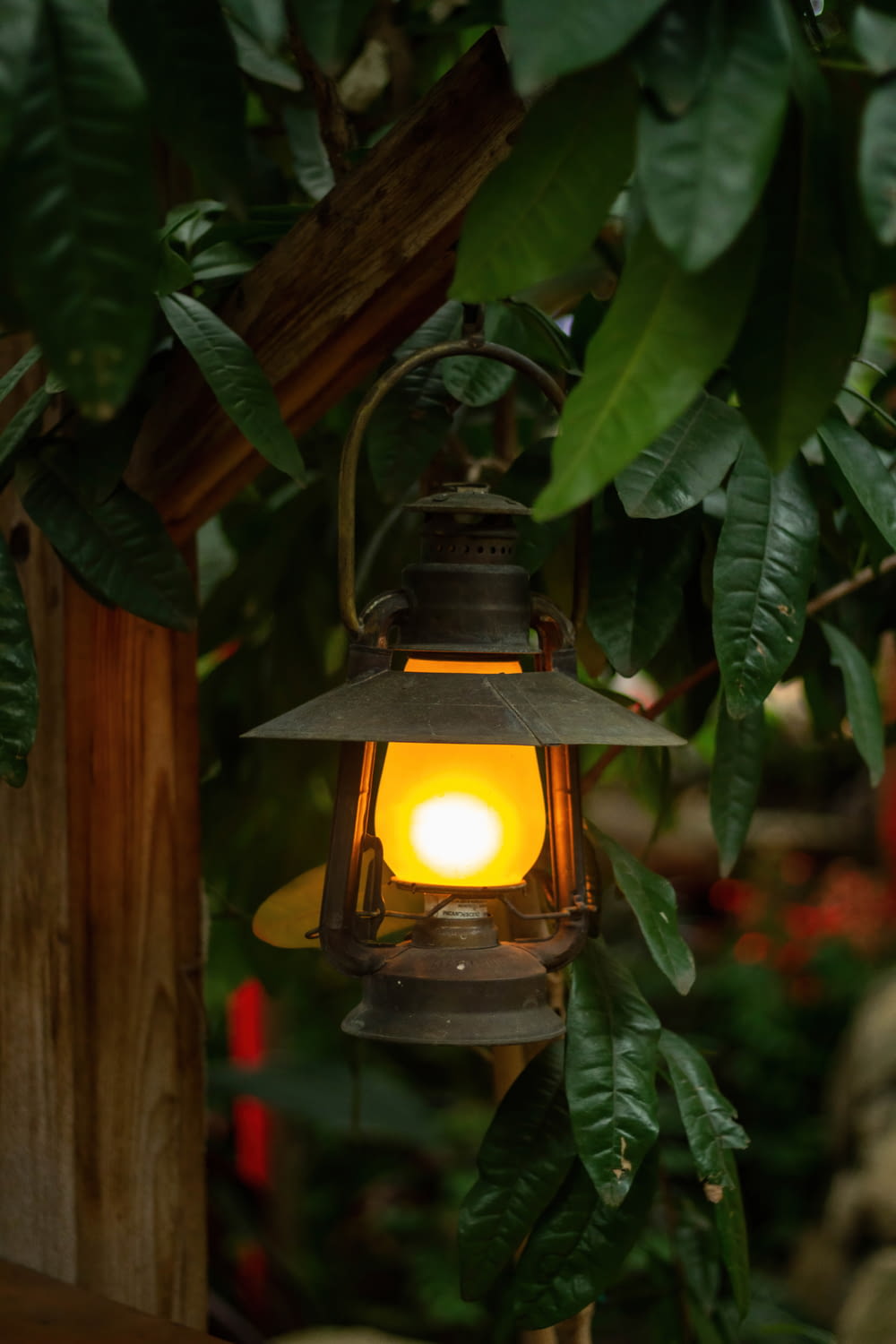 a lantern hanging from a tree in a garden